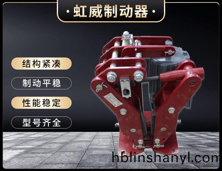 YPZ2-IV-V-VI型電力液壓盤式製動器