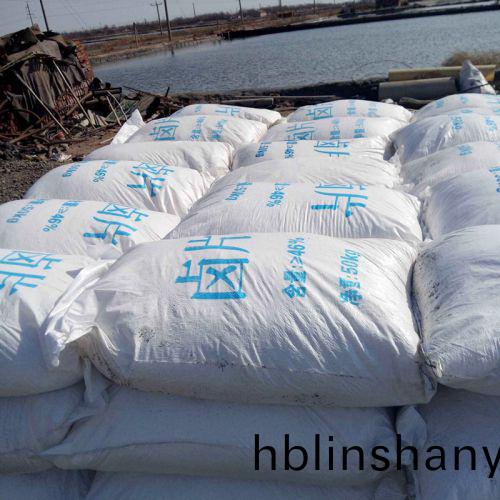 氯(lv)化(hua)鎂(mei)滷片(pian)髮(fa)貨現(xian)場(chang)